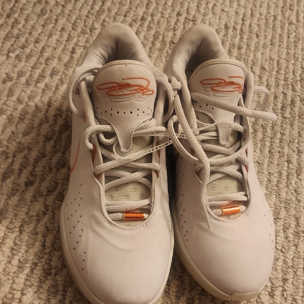 Nike LeBrons 21 Akoya Sneakers Size 10